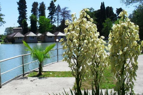 Ostrov Park-Hotel Pizunda Luaran gambar
